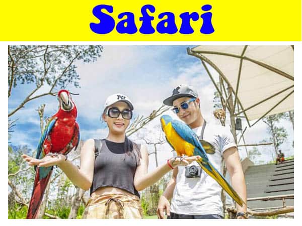 review-vuon-thu-safari-phu-quoc-chi-tiet-a-z-cuong-du-lich-com (13)